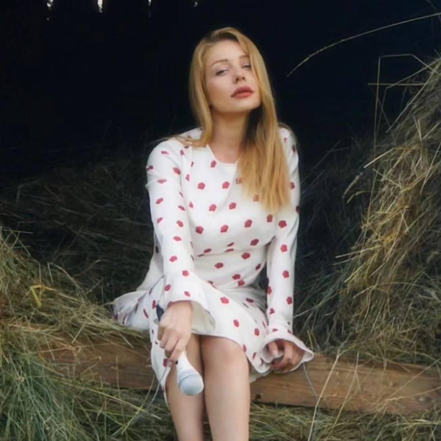 Самая дорогая Червона рута: сколько стоит платье Тины Кароль в народном стиле